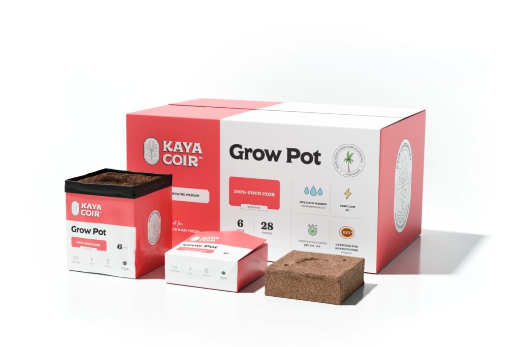 6" Kaya Grow Pot