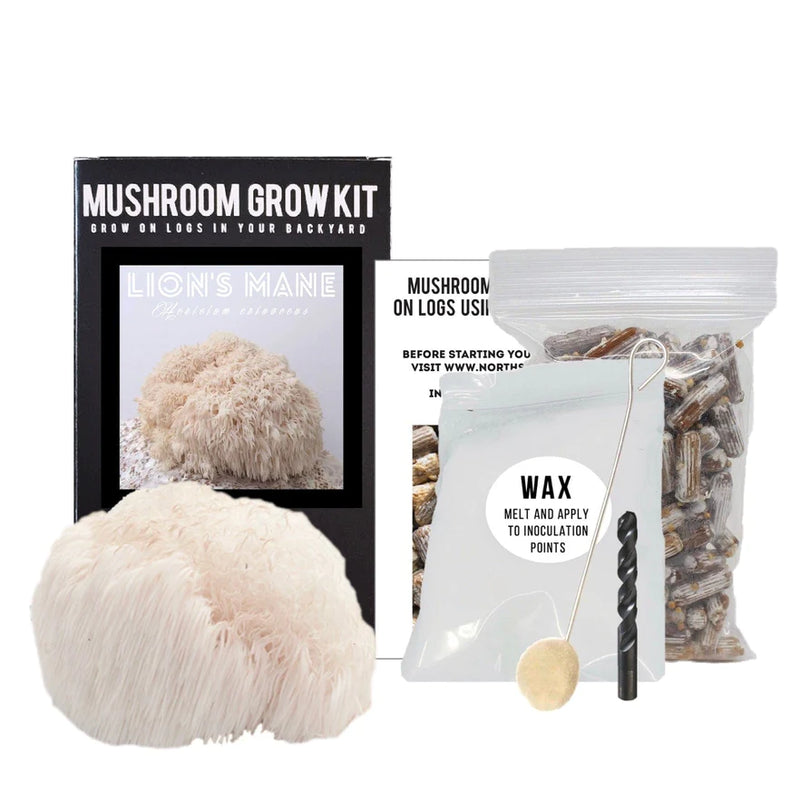 Organic Lion's Mane Mushroom Outdoor Log Growing Kit
