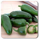 Early Jalepeno Pepper