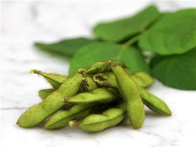 Envy Soya Bean