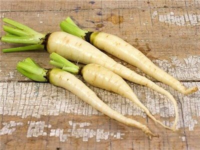 Snow White Carrot
