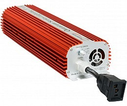 Quantum 1000w store ballast