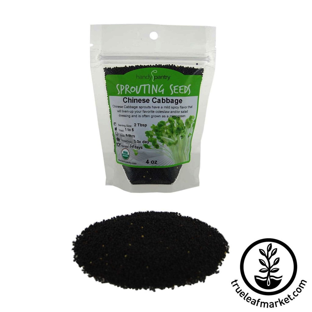 HANDY PANTRY CHINESE CABBAGE - SPROUTING SEEDS 8OZ