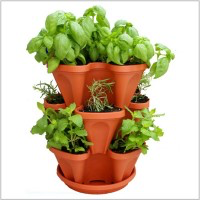 Mr. Stacky Planter