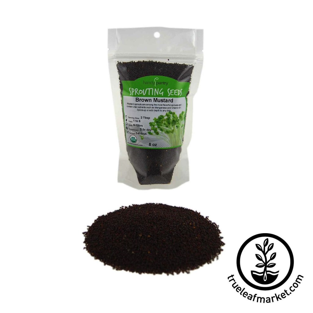 HANDY PANTRY MUSTARD - BROWN (ORGANIC) - SPROUTING SEEDS 8OZ