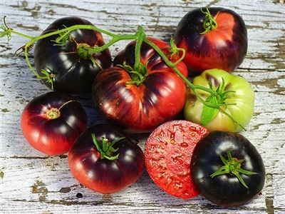 Blue Beauty Tomato