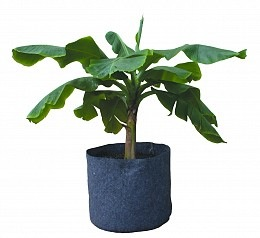3 Gal Root Pot, 9 x 8"
