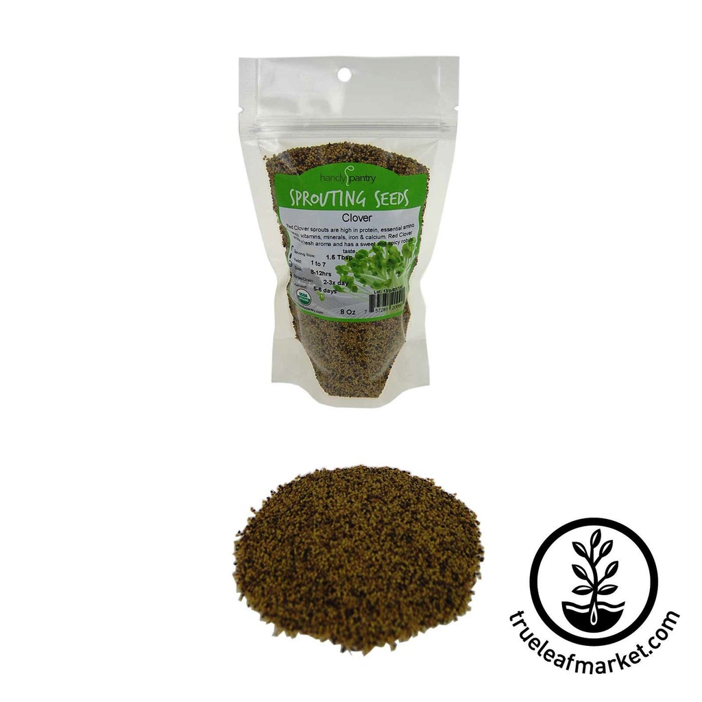 HANDY PANTRY CLOVER - RED (ORGANIC) - SPROUTING SEEDS 4OZ