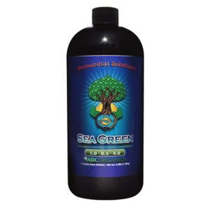 Sea Green 32oz