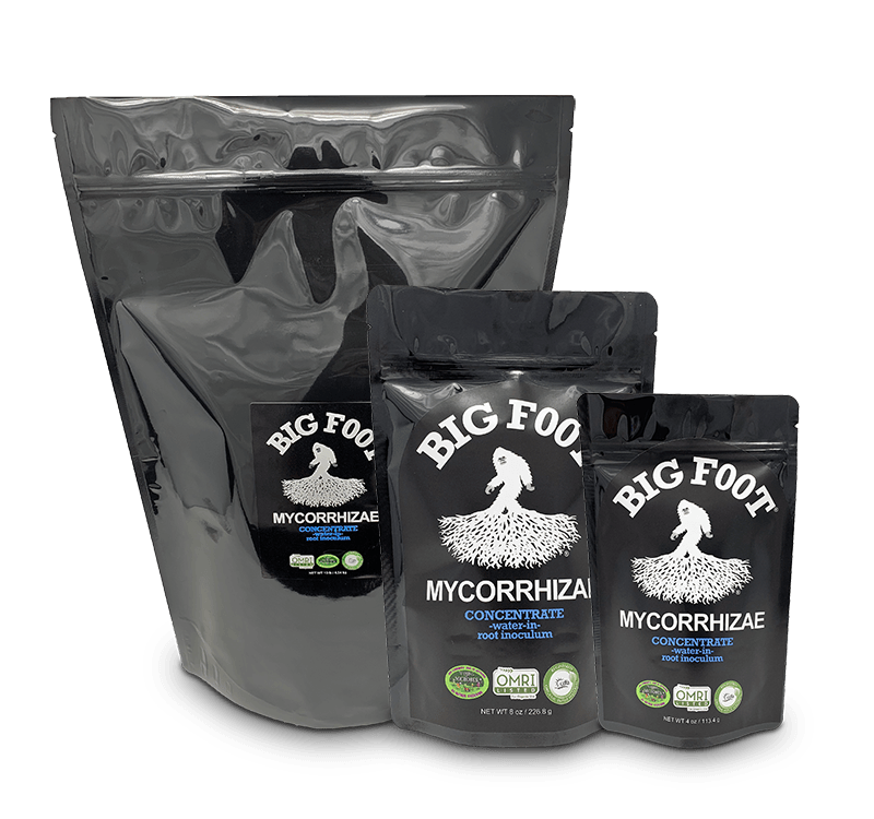 BIG FOOT CONCENTRATE 8OZ