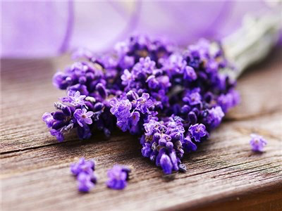 Lavender