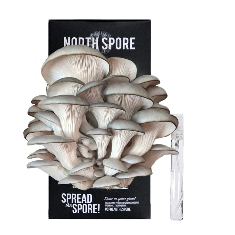 Organic Blue Oyster ‘Spray & Grow’ Mushroom Growing Kit