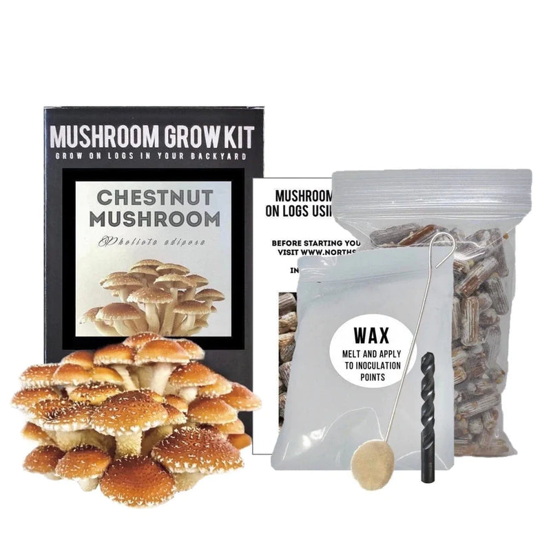 Organic Chestnut Mushroom Outdoor Log Kit
