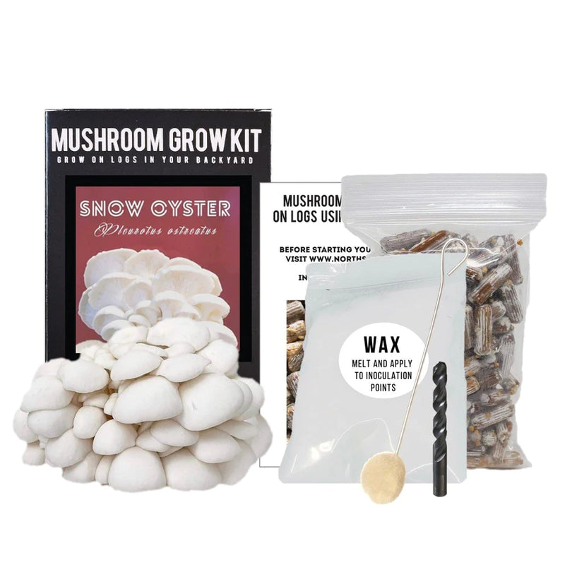 Organic Snow Oyster Mushroom Outdoor Log Growing Kit