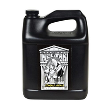 Athena's Aminas Quart