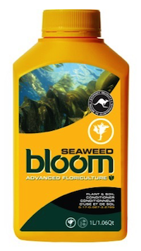 BLOOM SEAWEED QT