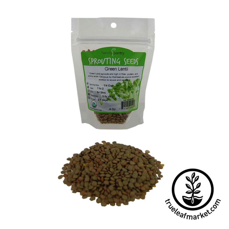 HANDY PANTRY GREEN LENTILS (ORGANIC) - SPROUTING SEEDS 8OZ