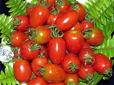 Komohana Grape Tomato