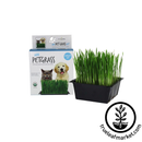 HANDY PANTRY MINI PET GRASS KIT