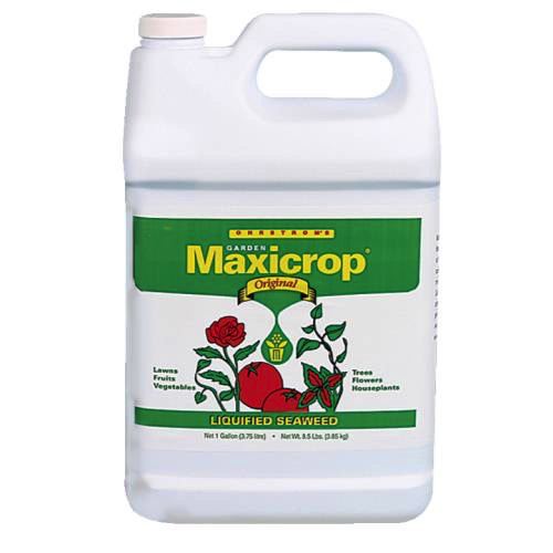 Maxicrop Original Liquid Seaweed 2.5 Gallon