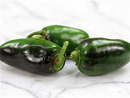Craig's Grande Jalapeno Pepper