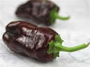 Sweet Chocolate Pepper