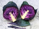Red Express Cabbage