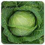 Copenhagen Cabbage
