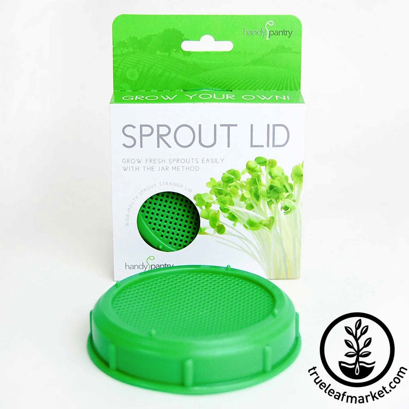 HANDY PANTRY SPROUT LID - SEED SPROUTING