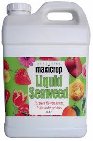 MaxiCrop Seaweed 32oz