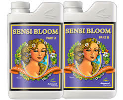 Advanced Nutrients pH Perfect Sensi Bloom Part B 1L
