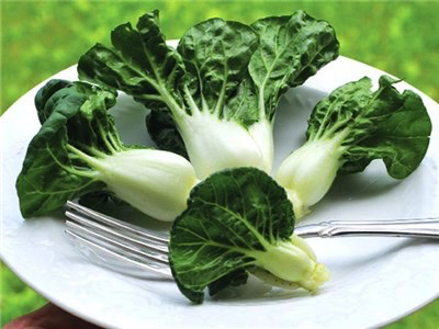 Extra Dwarf Pak Choy