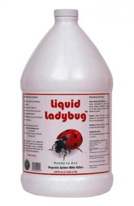 Liquid Ladybug RTU, 1 gal