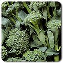 DeCicco Broccoli