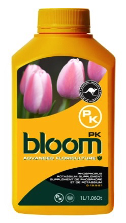 BLOOM PK QT