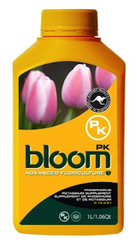 BLOOM PK QT