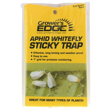 Grower's Edge Sticky Whitefly Trap 5/Pack