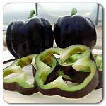 Purple Beauty Pepper