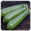Dark Green Zucchini