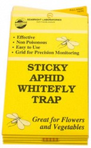 White Fly Traps