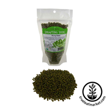HANDY PANTRY MUNG BEAN (ORGANIC) - SPROUTING SEEDS 8OZ