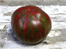 Pink Berkeley Tie Dye Tomato