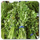 Italian Flat Leaf Parsley