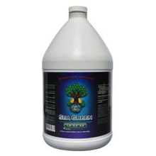 Sea Green 1 Gal