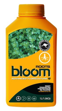 BLOOM ROOTS QT