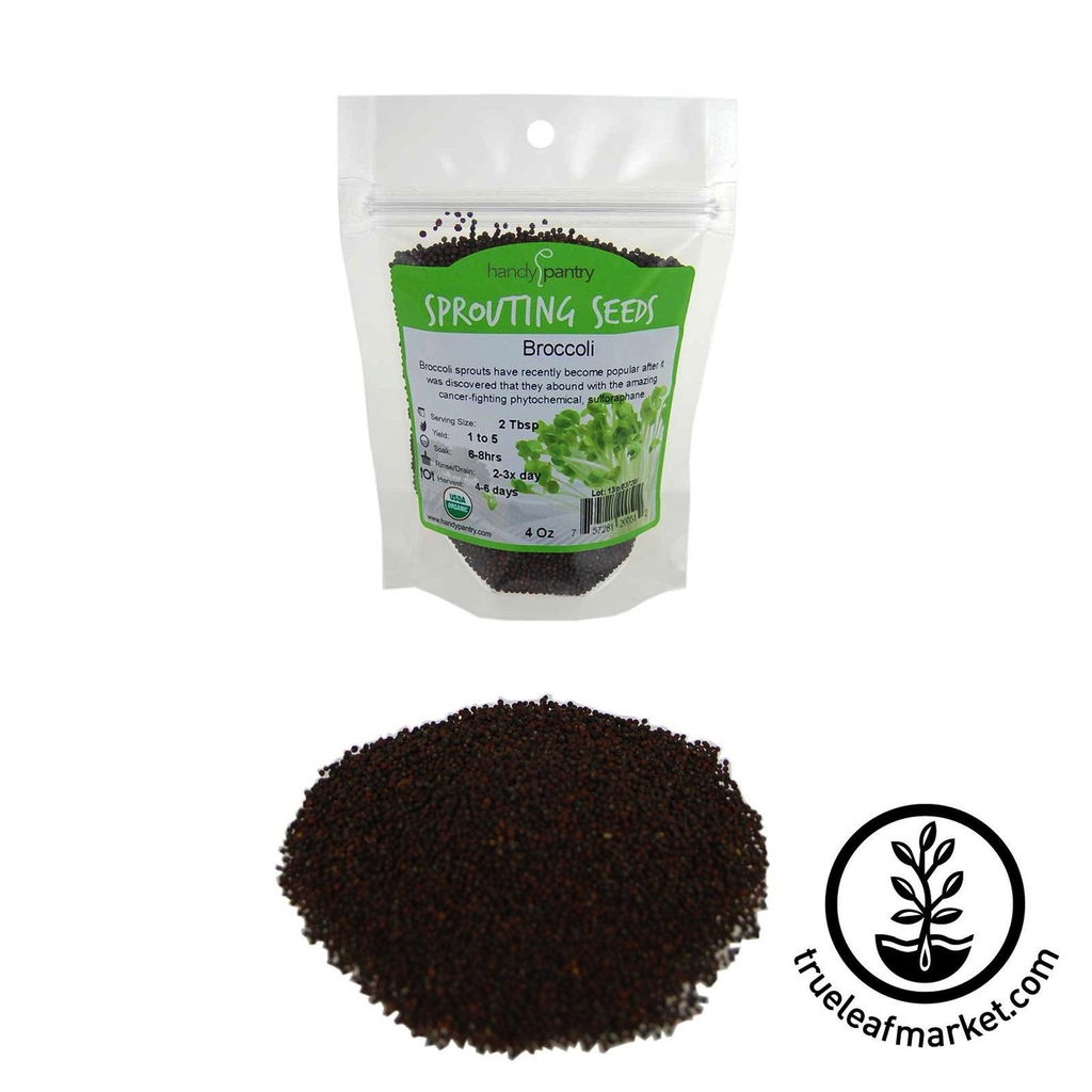 HANDY PANTRY BROCCOLI (ORGANIC) - SPROUTING SEEDS 8OZ