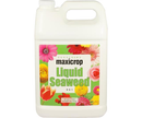 Maxicrop Liquid Seaweed, 1 gal