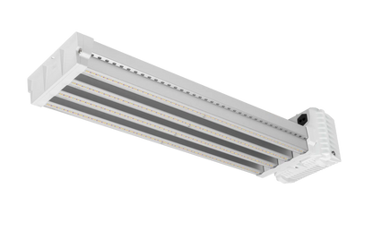 DLI APEX-Series LED Toplight 800 FS-DC