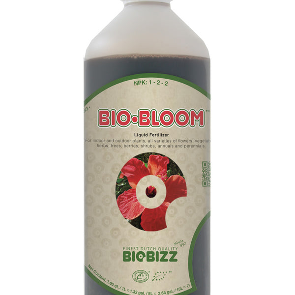 BBB1L_1_600x600_crop_center.