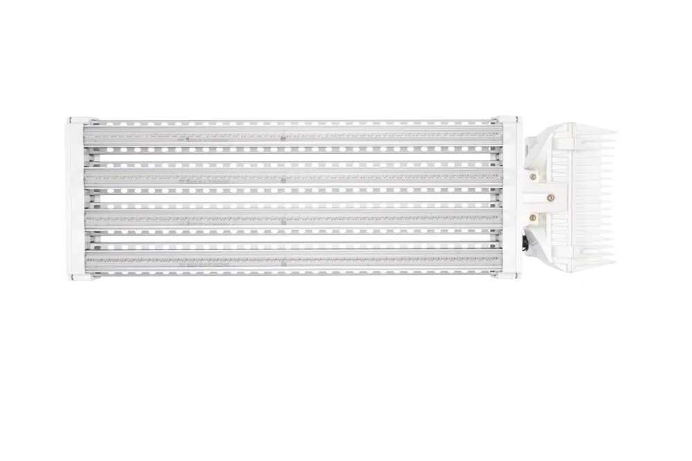 DLI APEX-Series LED Toplight 800 FS-DC